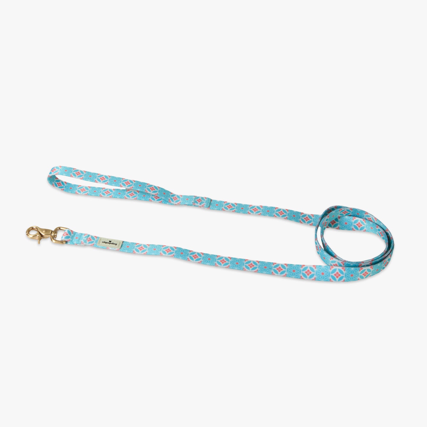 Basic Leash - Straits Mint