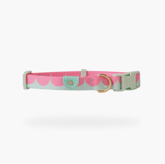 Gentle Pup x Ohpopdog Basic Collar -Strawberry Matcha