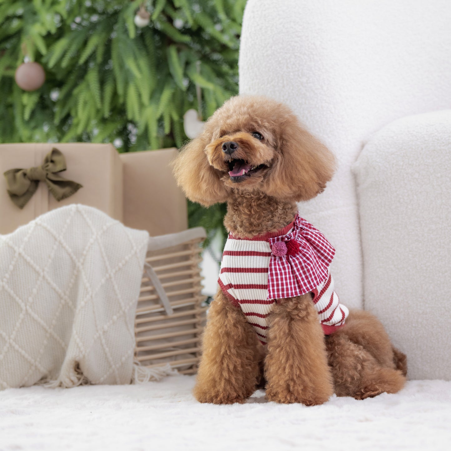 Ruffles Dress Top - Candy Cane