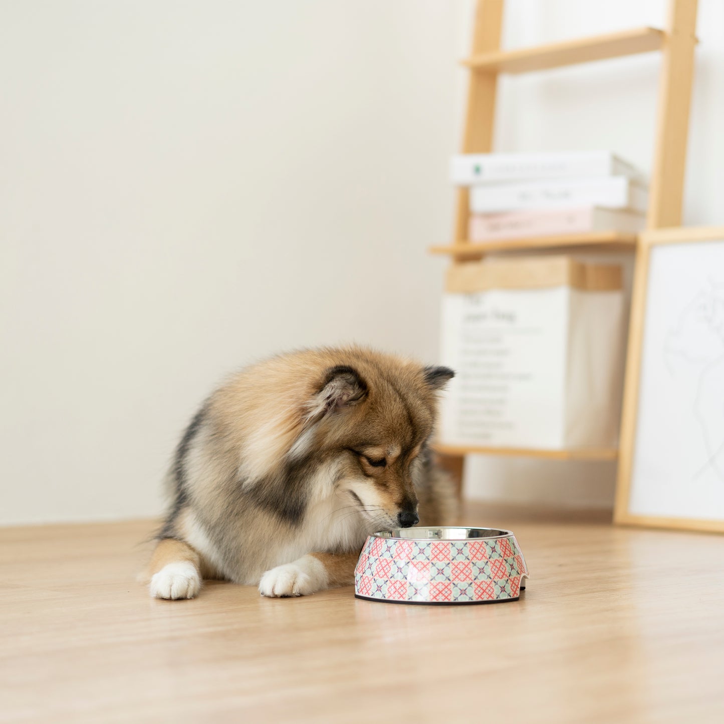 Non-slip Pet Bowl - Bibik Pink