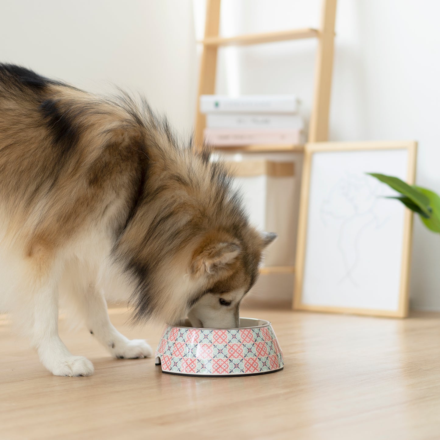 Non-slip Pet Bowl - Bibik Pink