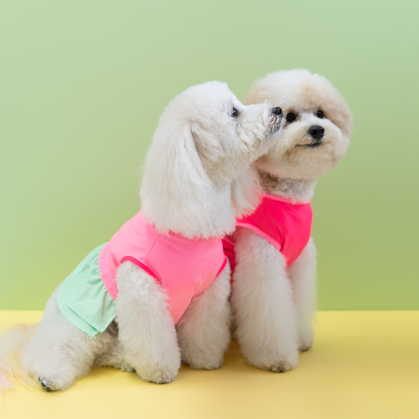 Pink Popsicle Dress - Dress - opdsg