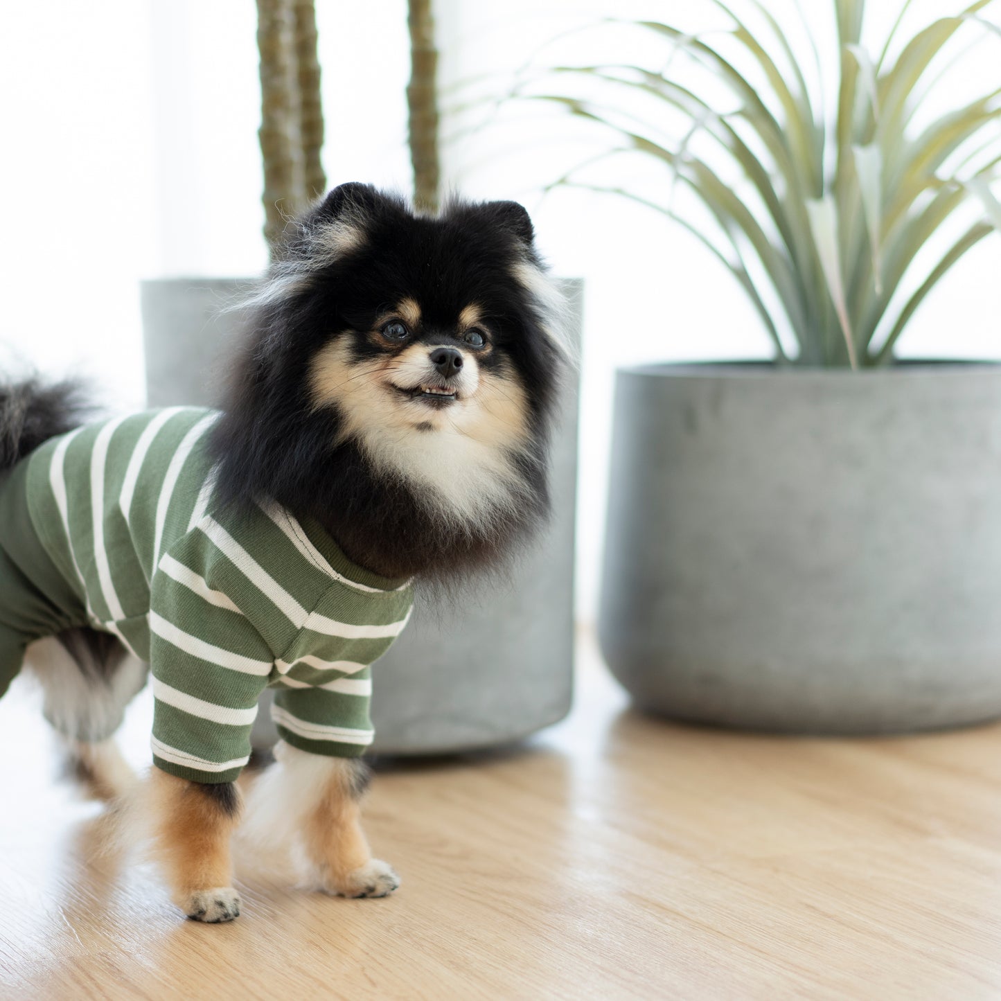 Onesie - Olive Striped