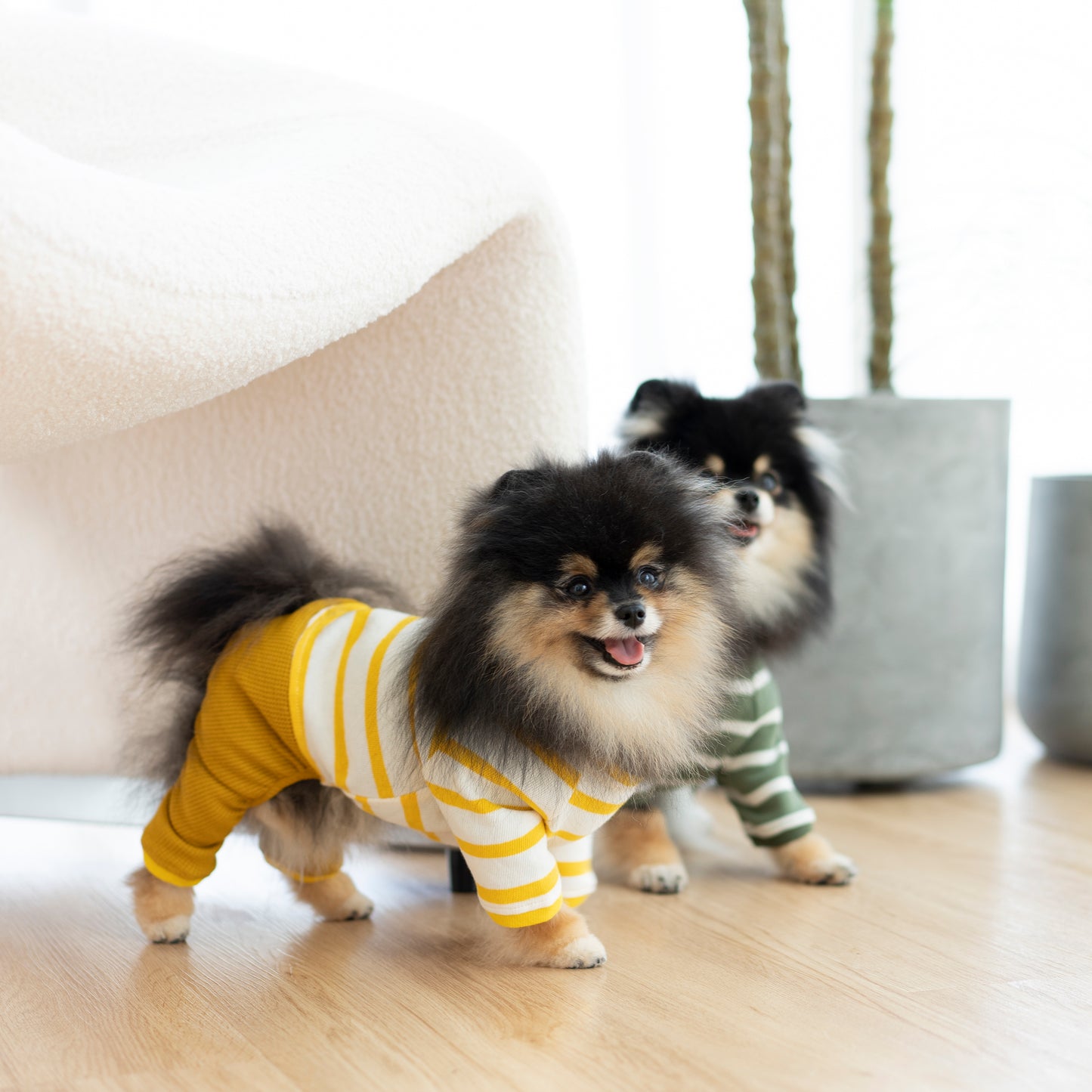 Onesie - Lemon Striped