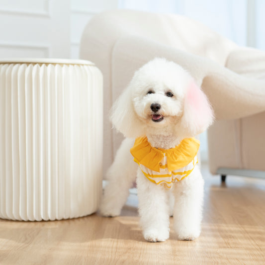 Ruffles Dress Top - Lemon Striped