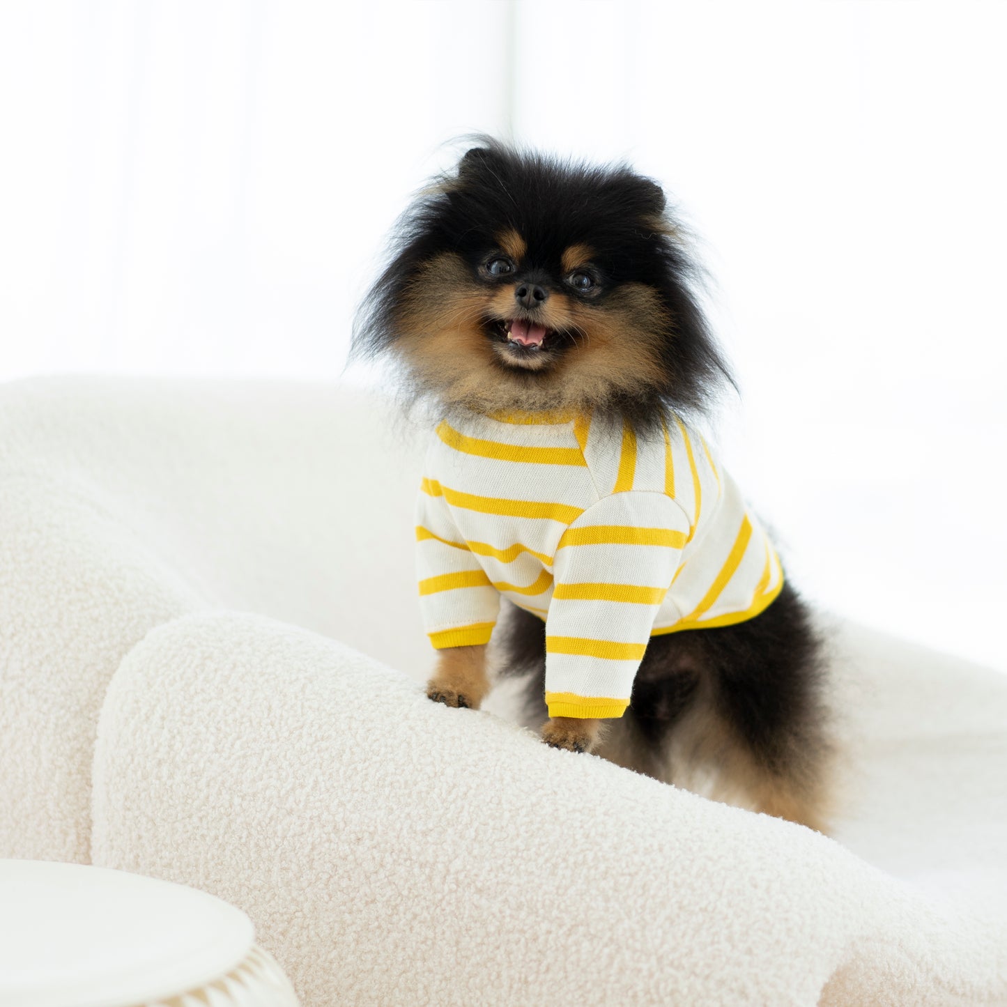 Raglan - Lemon Striped