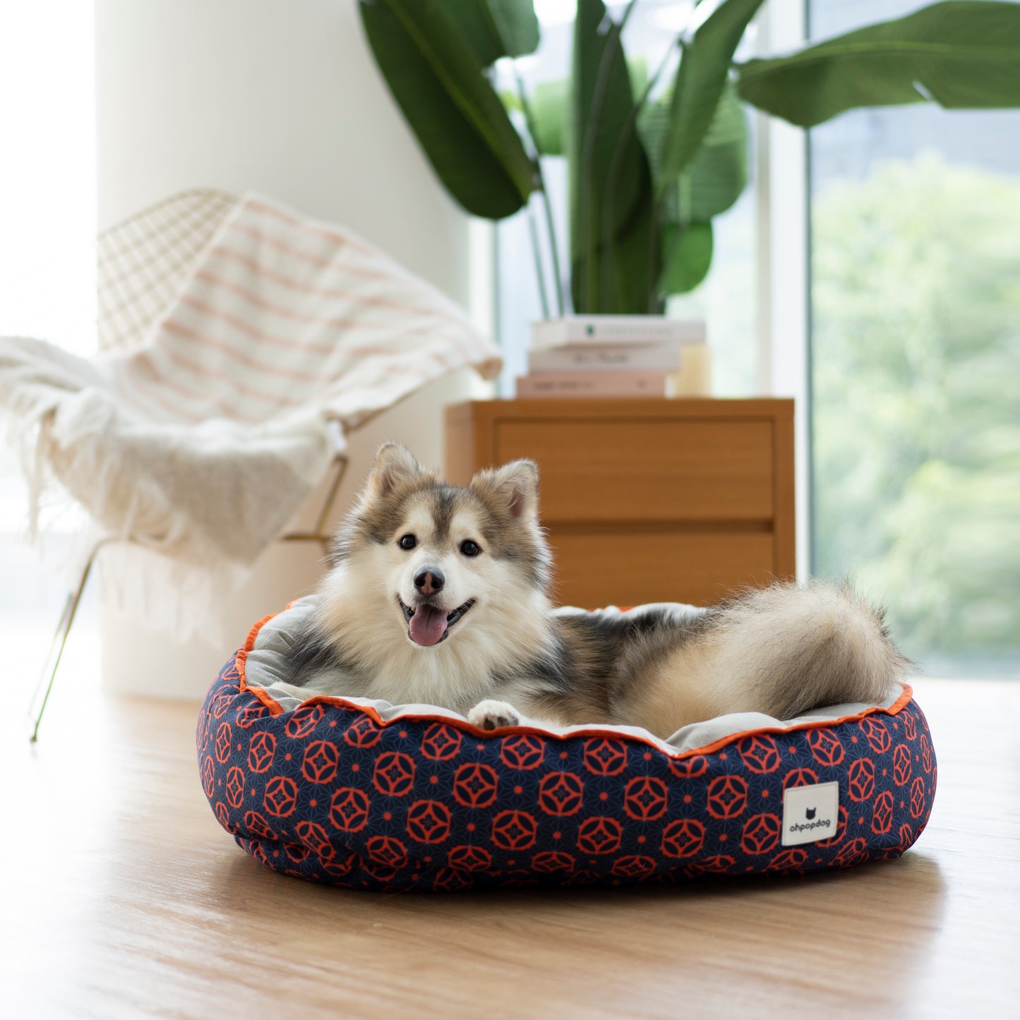 Reversible Bed - Baba Navy