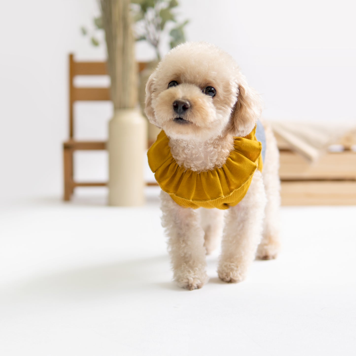 Mustard Ruffles Dress - Dress - opdsg