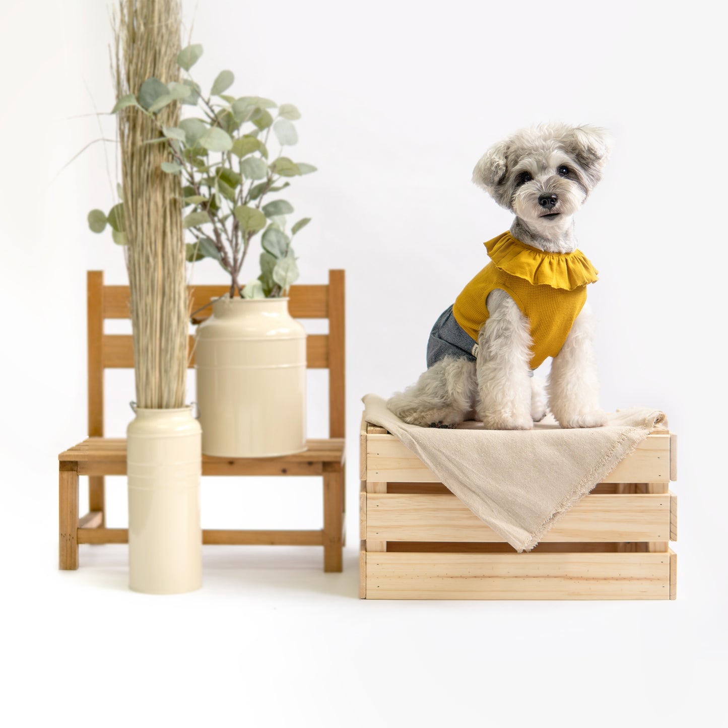 Mustard Ruffles Dress - Dress - opdsg