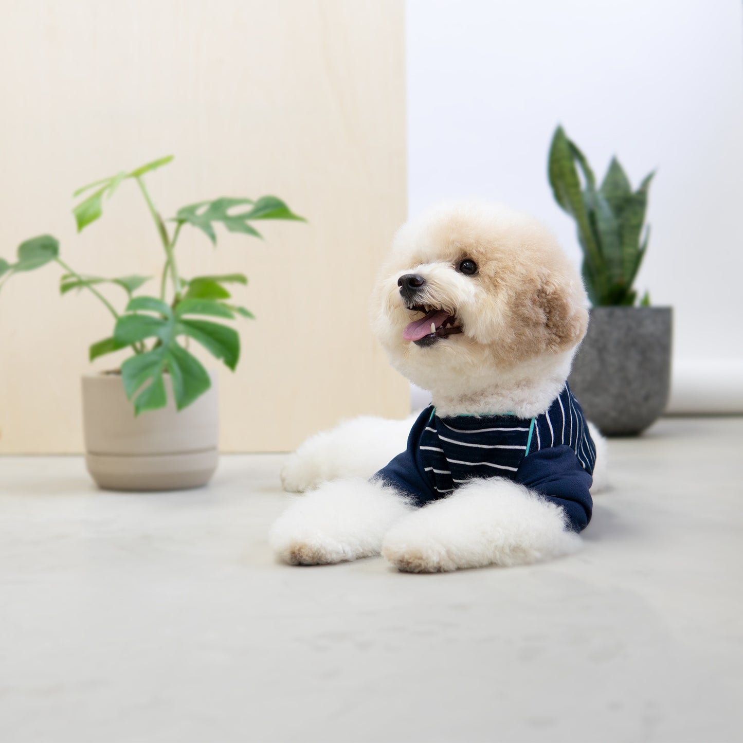 Snug-in Navy Striped Jammies - Tshirt - opdsg