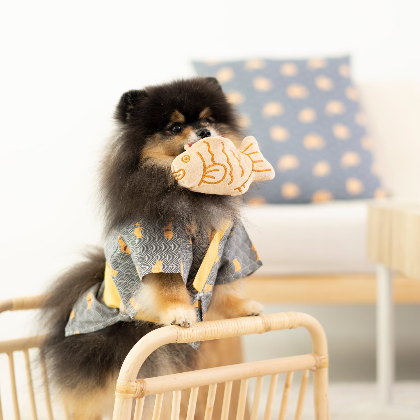 Nosework Toy - Taiyaki