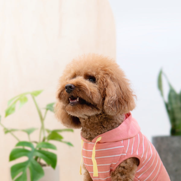 Snug-in Pink Striped Hoodie - Tshirt - opdsg