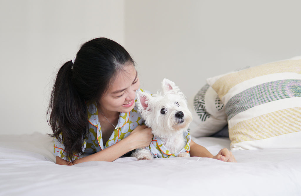 SIX Things To Do with Your Dog While Staying at home!