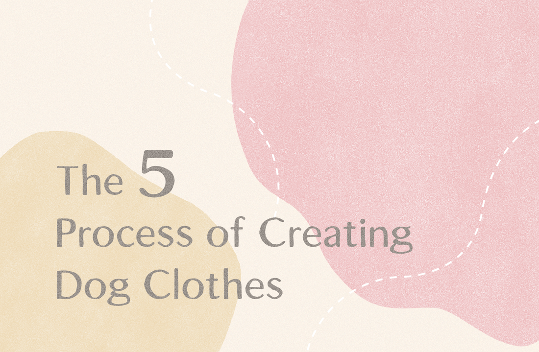 The 5 Process of Creating Dog Clothes