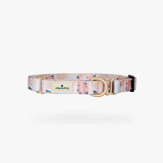 Basic Martingale Collar - Botan