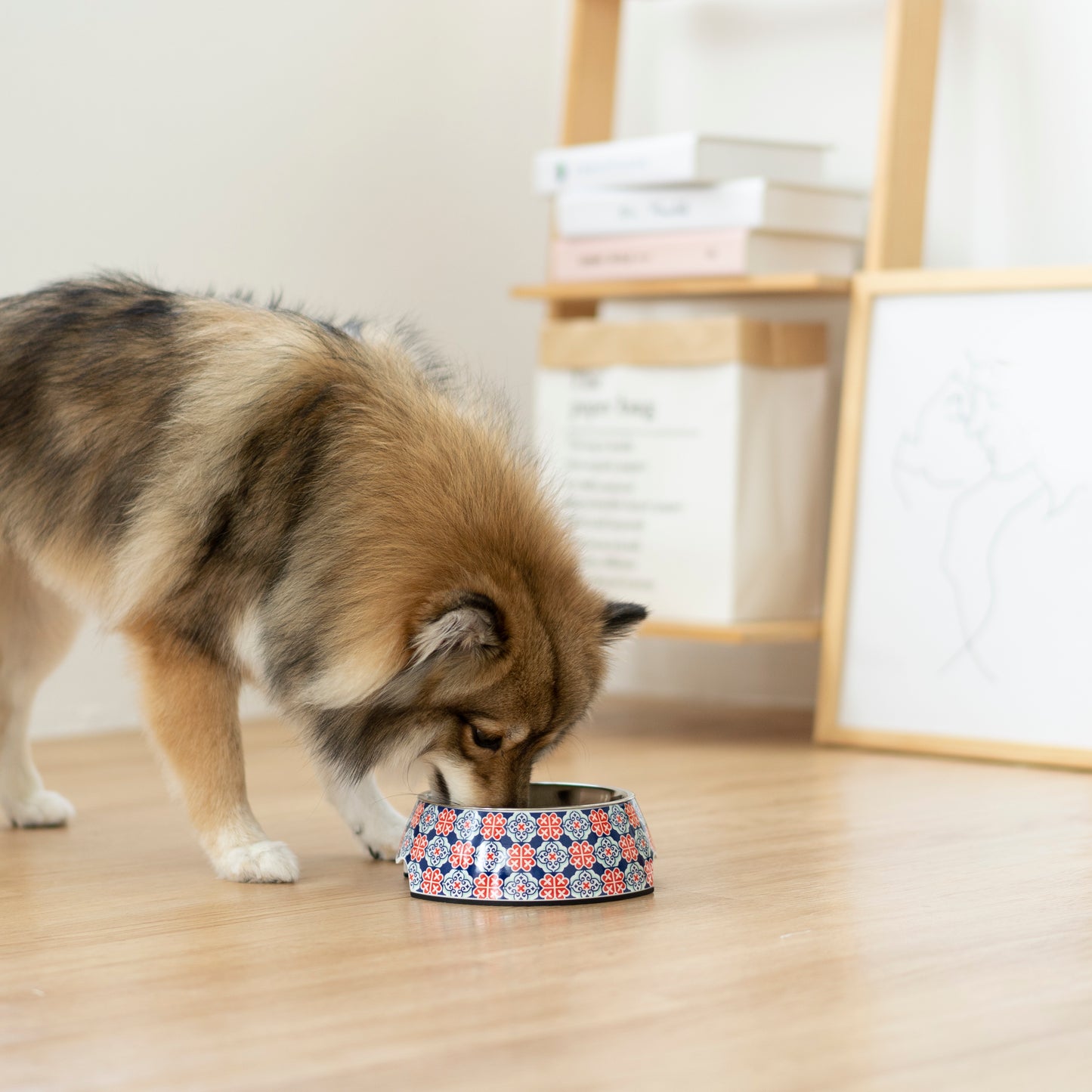 Non-slip Pet Bowl - Royal Blue