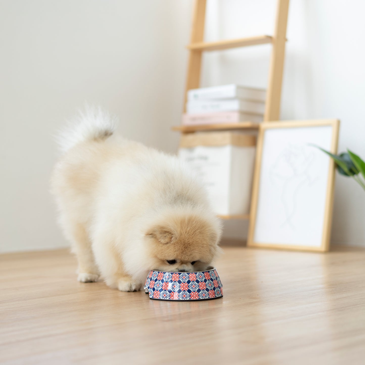 Non-slip Pet Bowl - Royal Blue