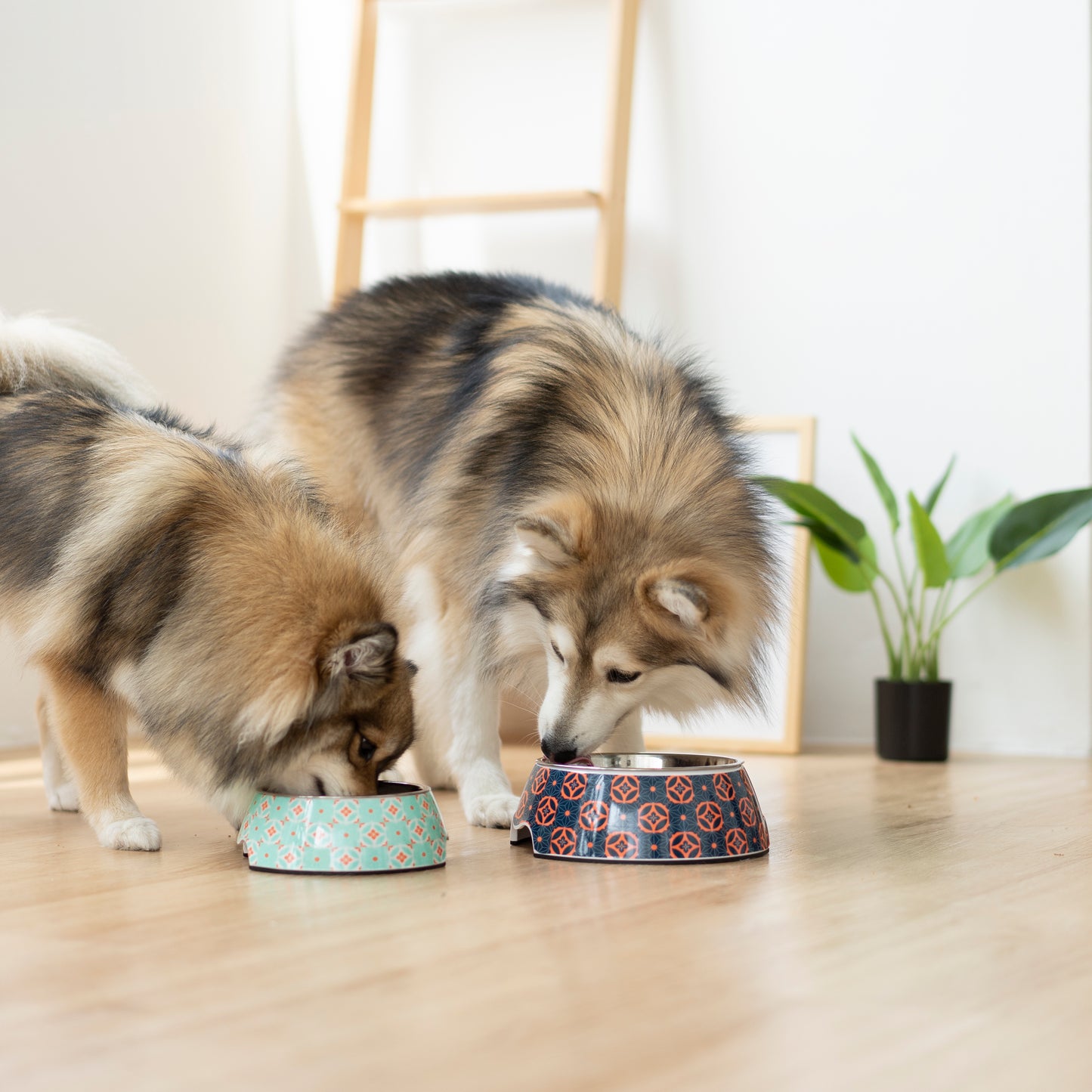 Non-slip Pet Bowl - Straits Mint