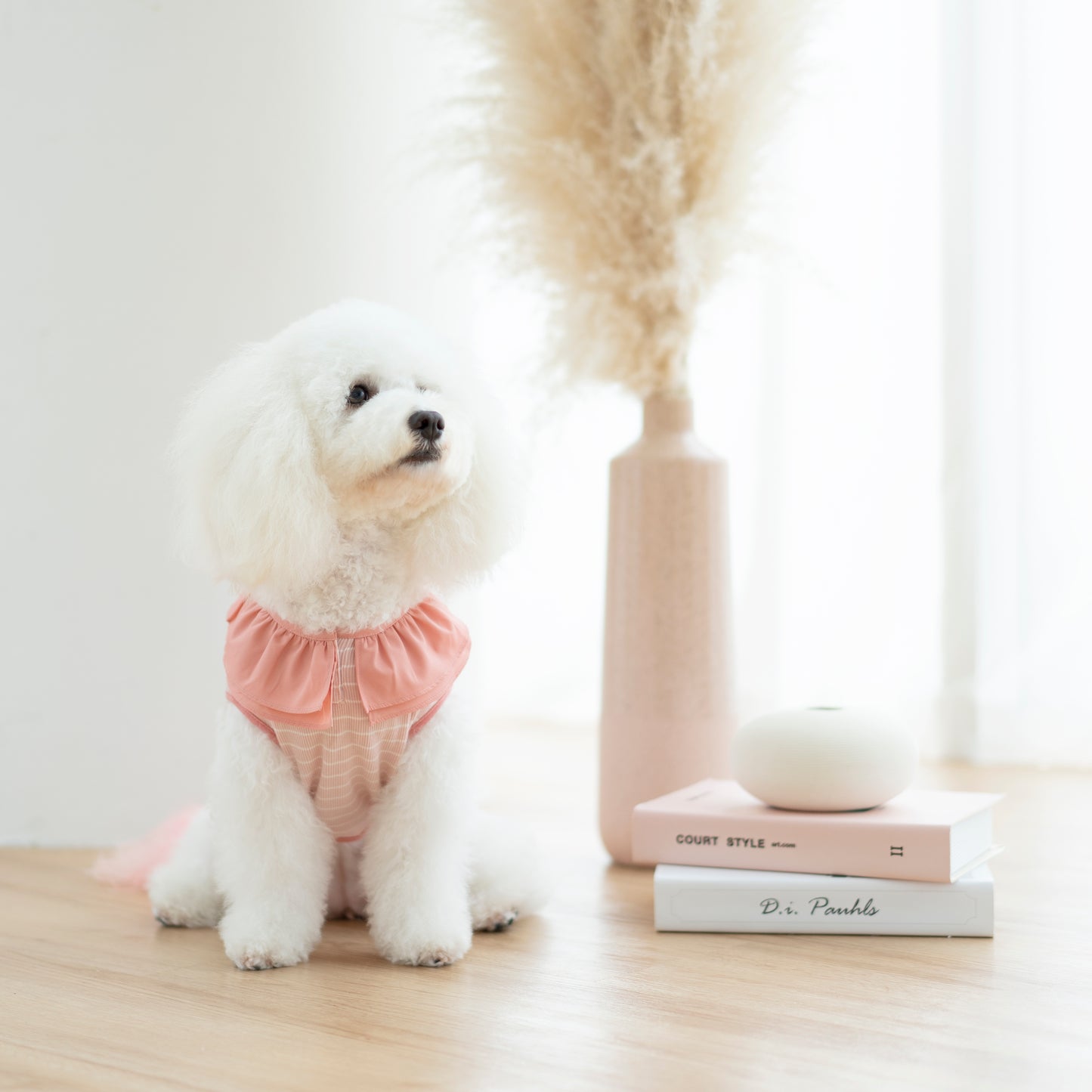 Soufflé Ruffles Dress Top - Rose