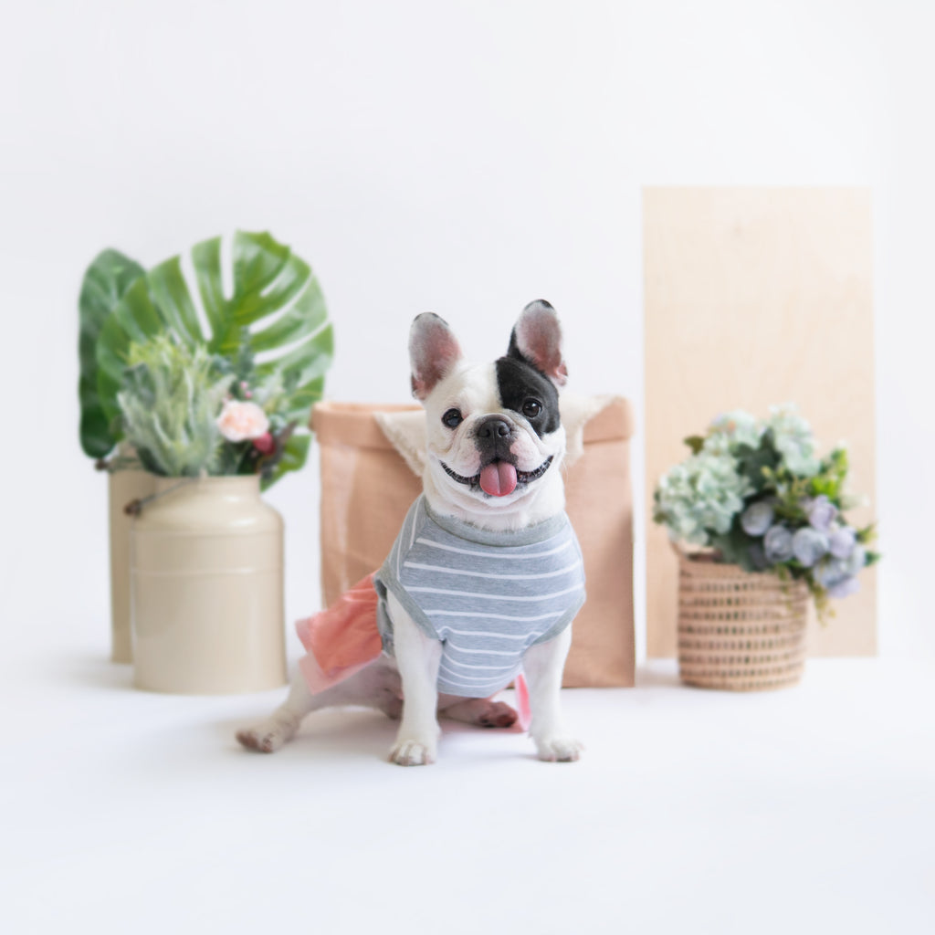 Grey White Pink Dress - Dress - opdsg