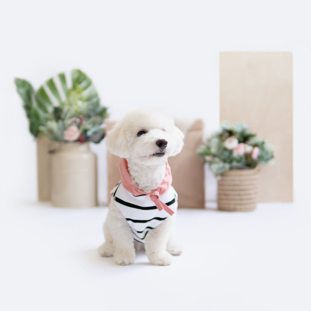 Pink Linen Striped Hoodie - Hoodie - opdsg