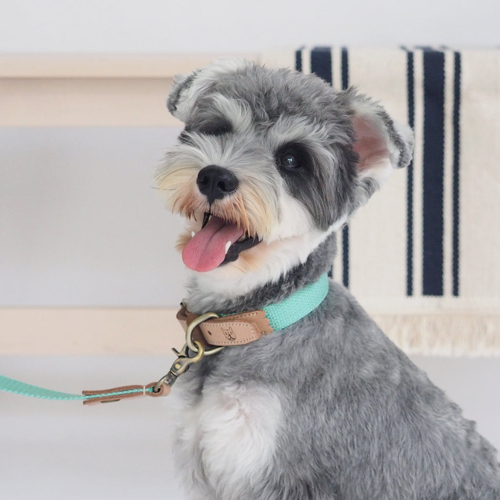 Mint Green Hemp Leather Collar - Collar - opdsg