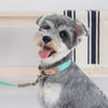 Mint Green Hemp Leather Leash - Leash - opdsg
