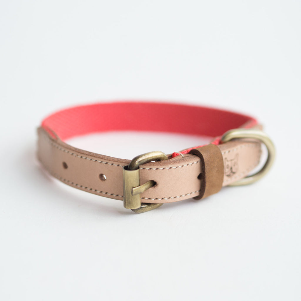 Salmon Hemp Leather Collar - Collar - opdsg