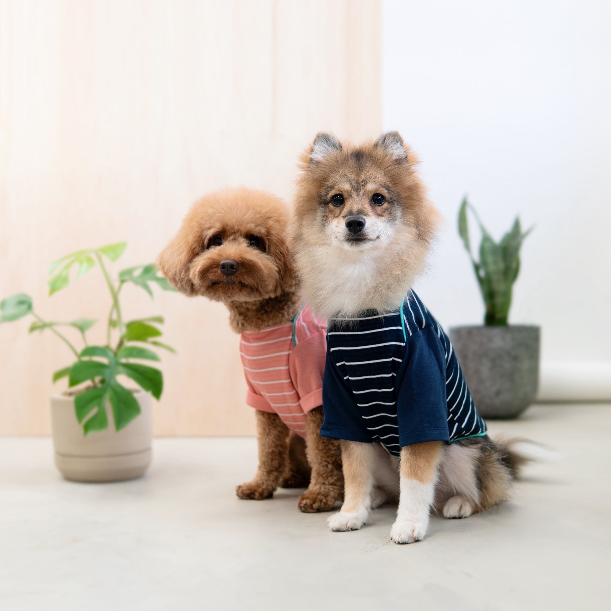 Snug-in Pink Striped Jammies - Tshirt - opdsg